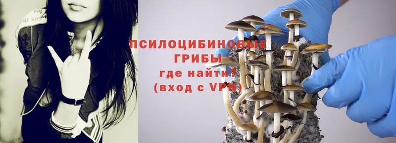 ссылка на мегу ссылка  Серпухов  Галлюциногенные грибы MAGIC MUSHROOMS  купить наркотики сайты 